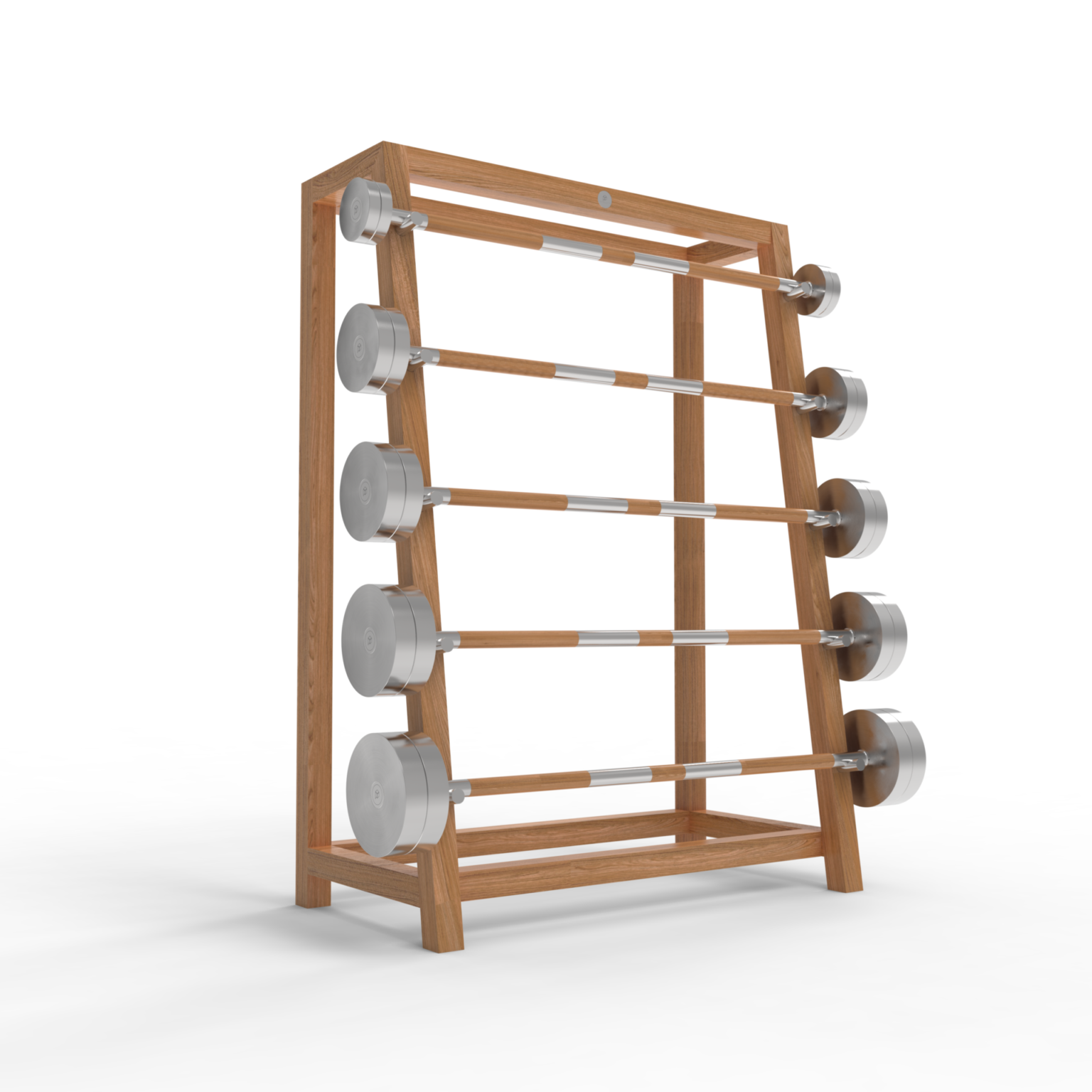 Dumbbell Wall Rack Paragon Studio