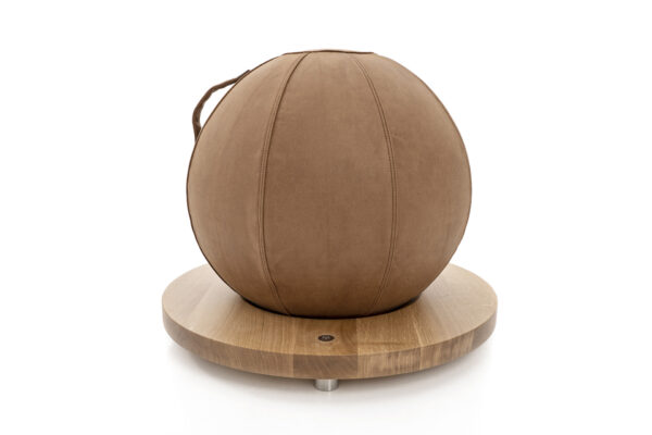 Exercise Ball Holder