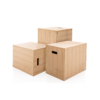 Paragon Studio Plyo Boxes