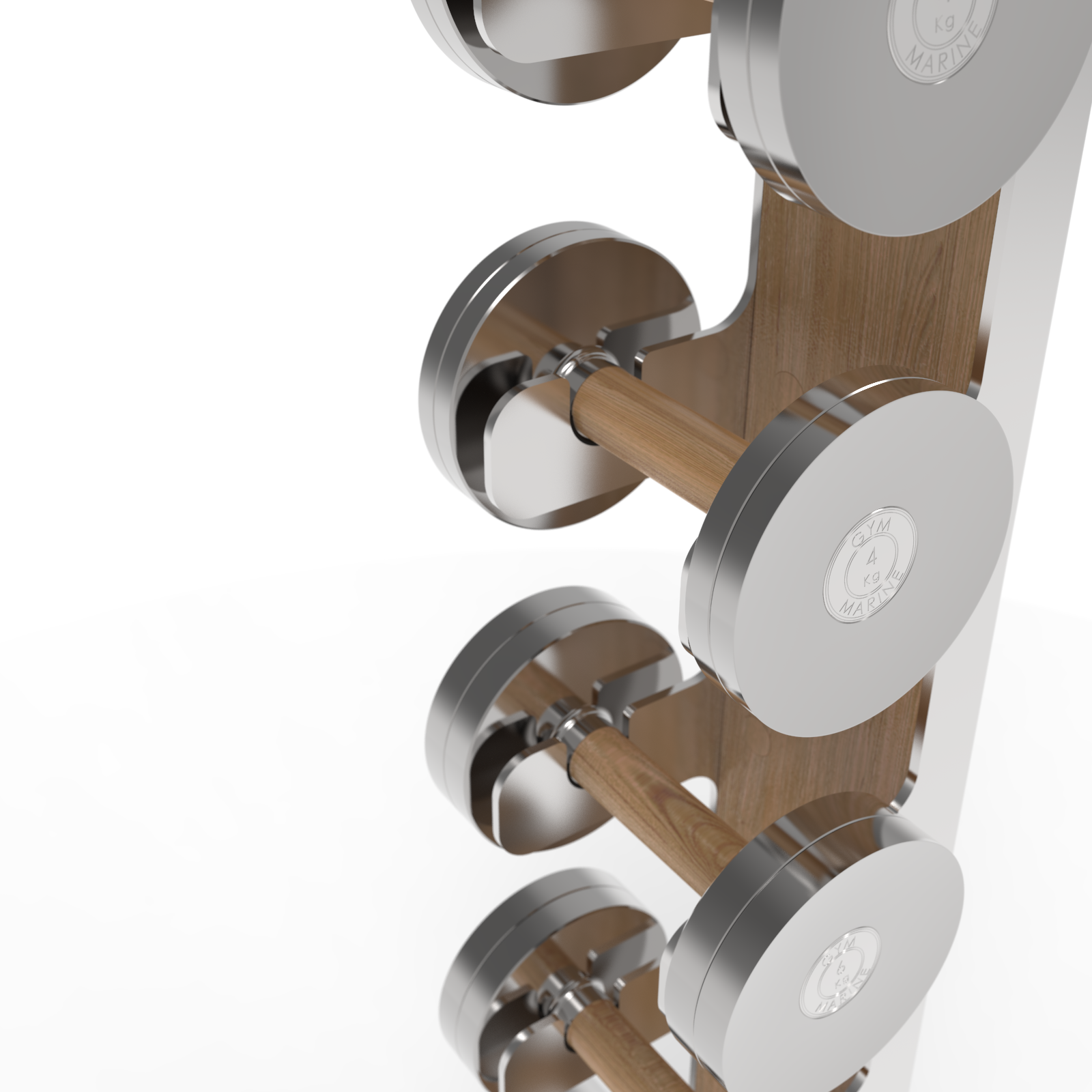 Dumbbell Wall Rack Paragon Studio