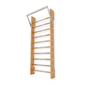 Paragon Studio Folding Wall Bar
