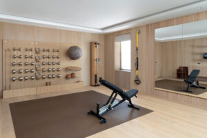 luxury home gym