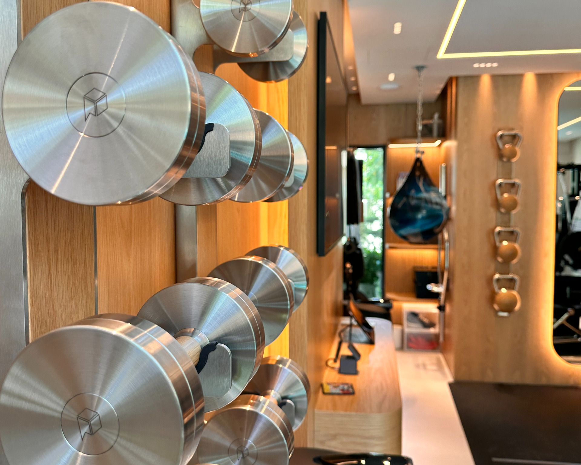 dubai home gym