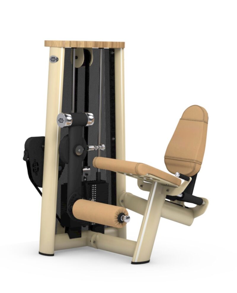 luxury gym equipment