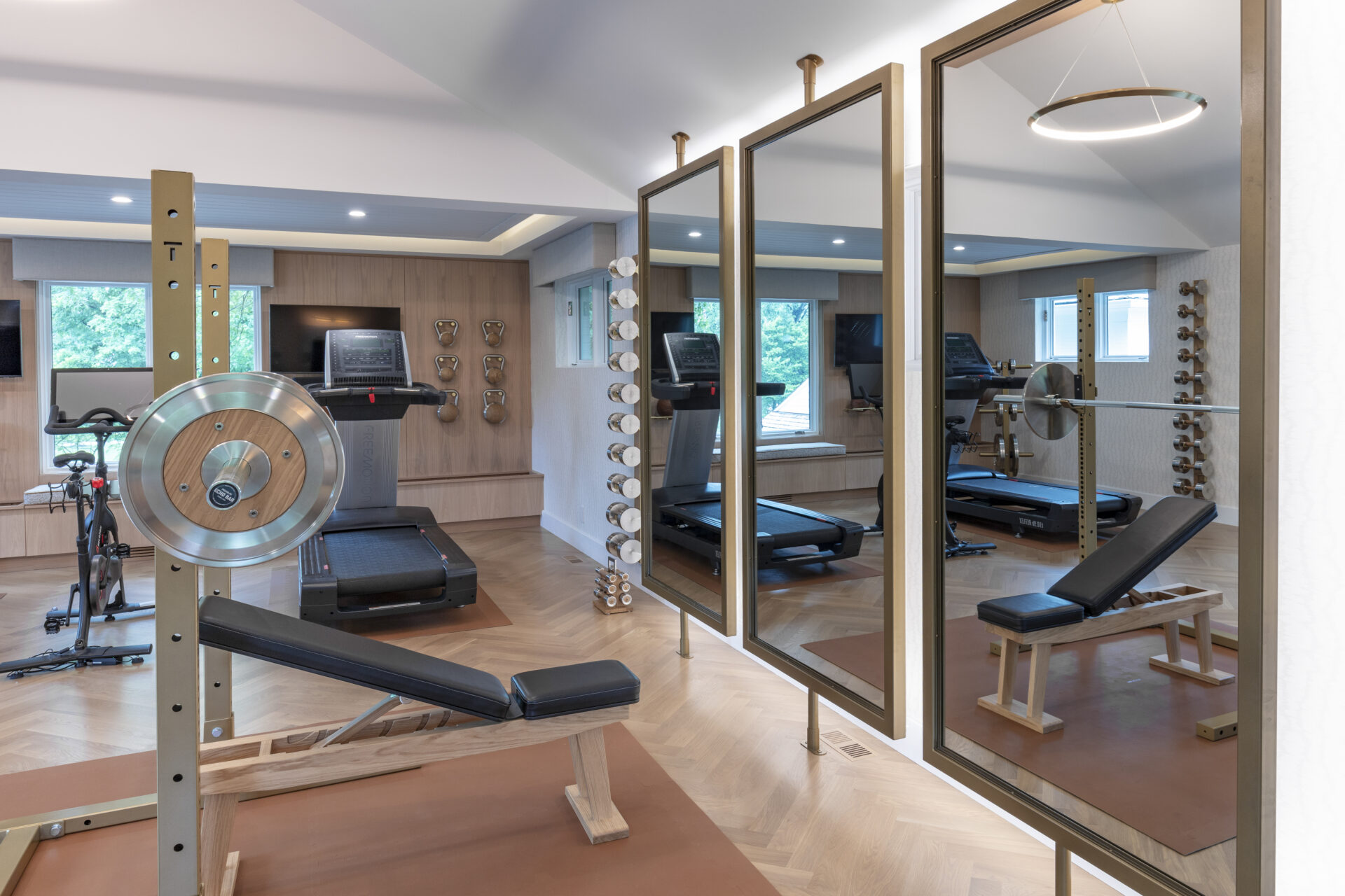 luxury residential gym