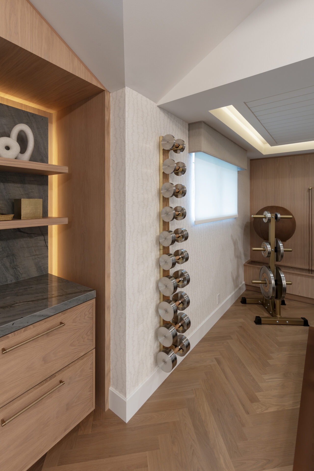 luxury residential gym