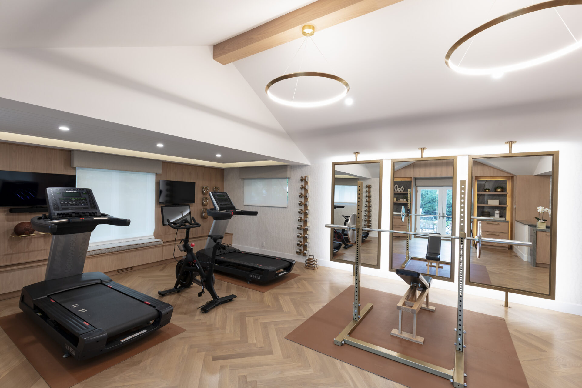 luxury residential gym