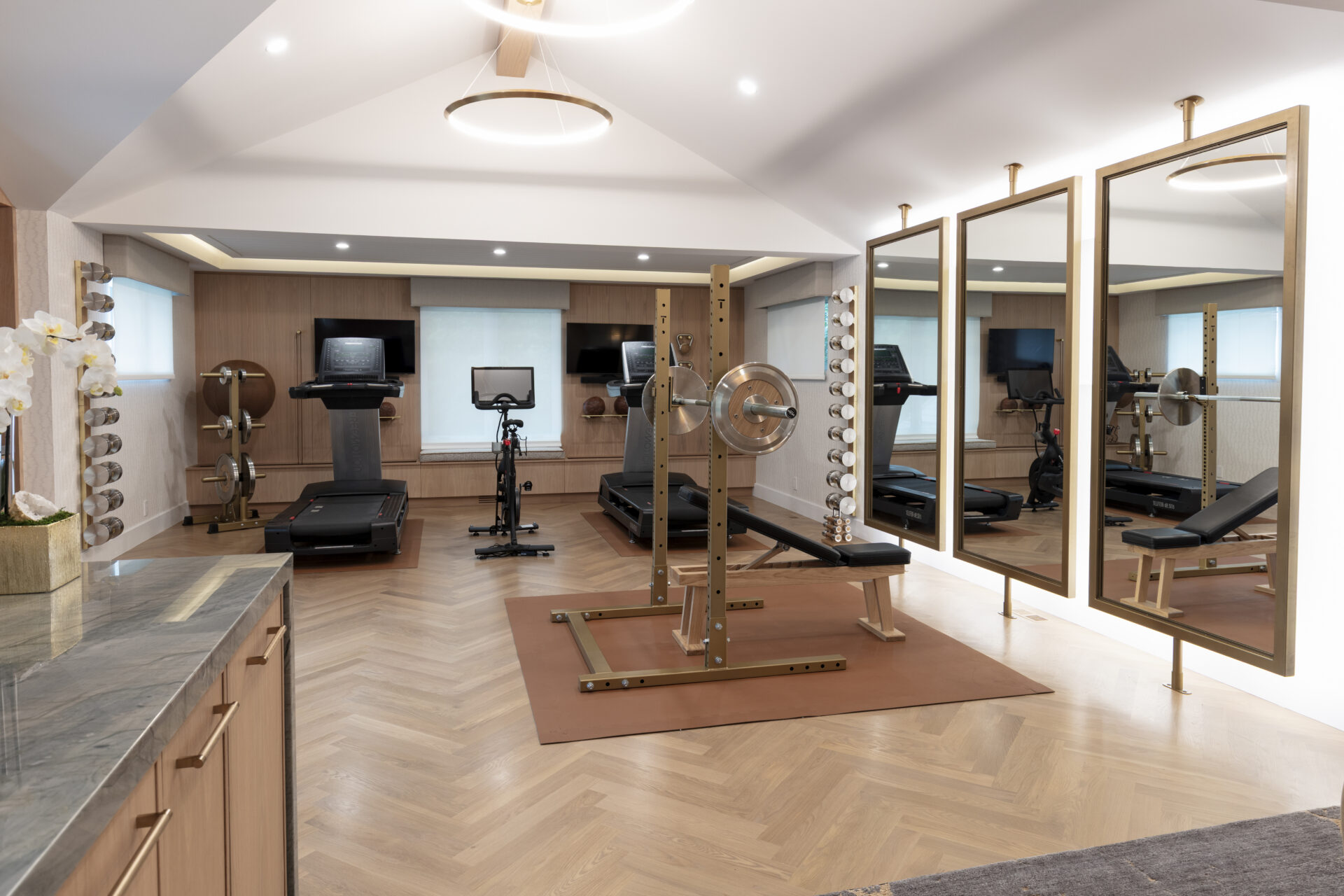 luxury residential gym