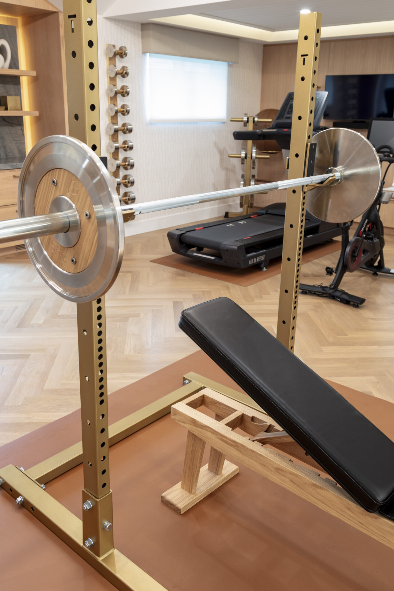 luxury residential gym
