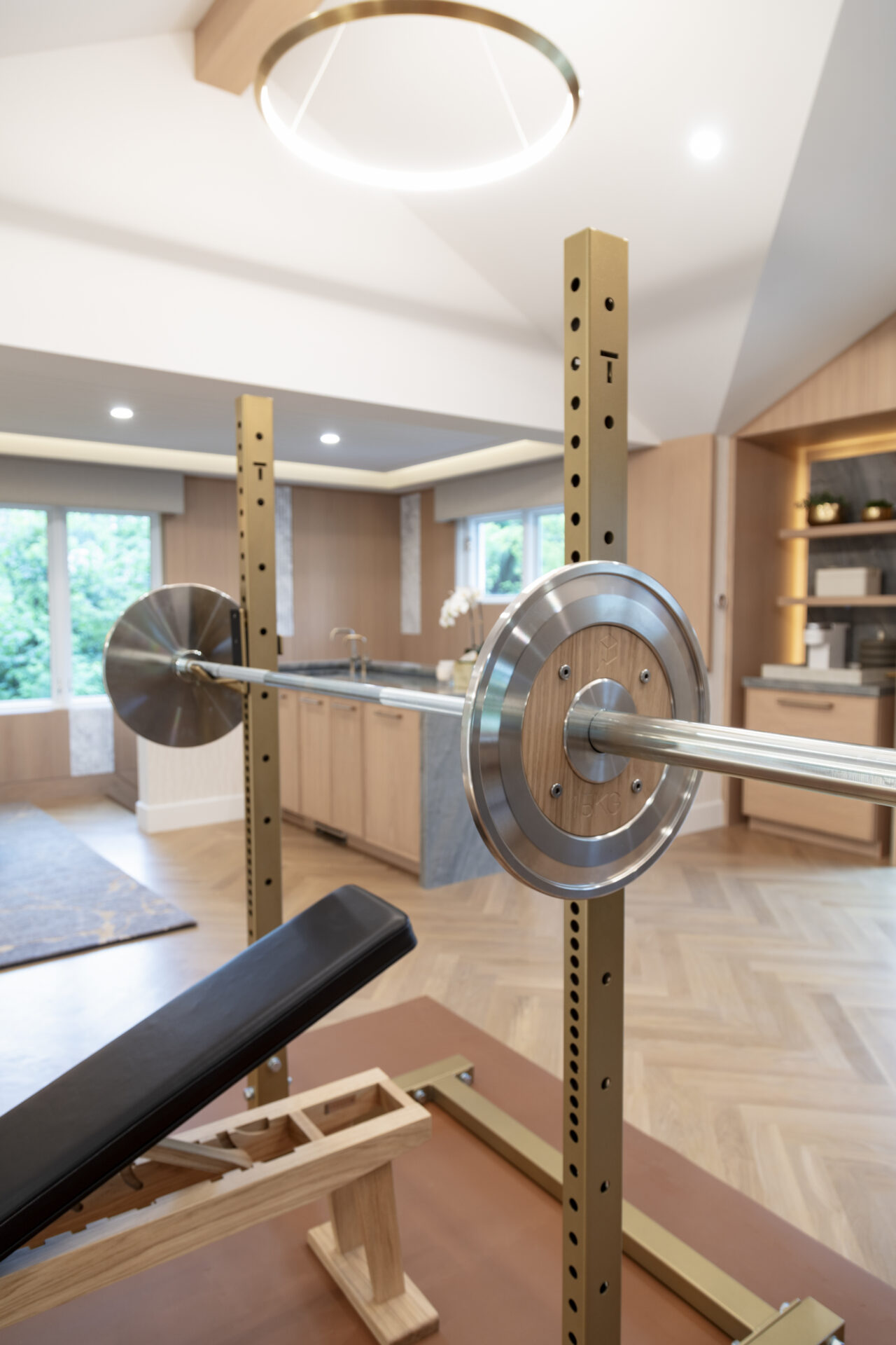 luxury residential gym