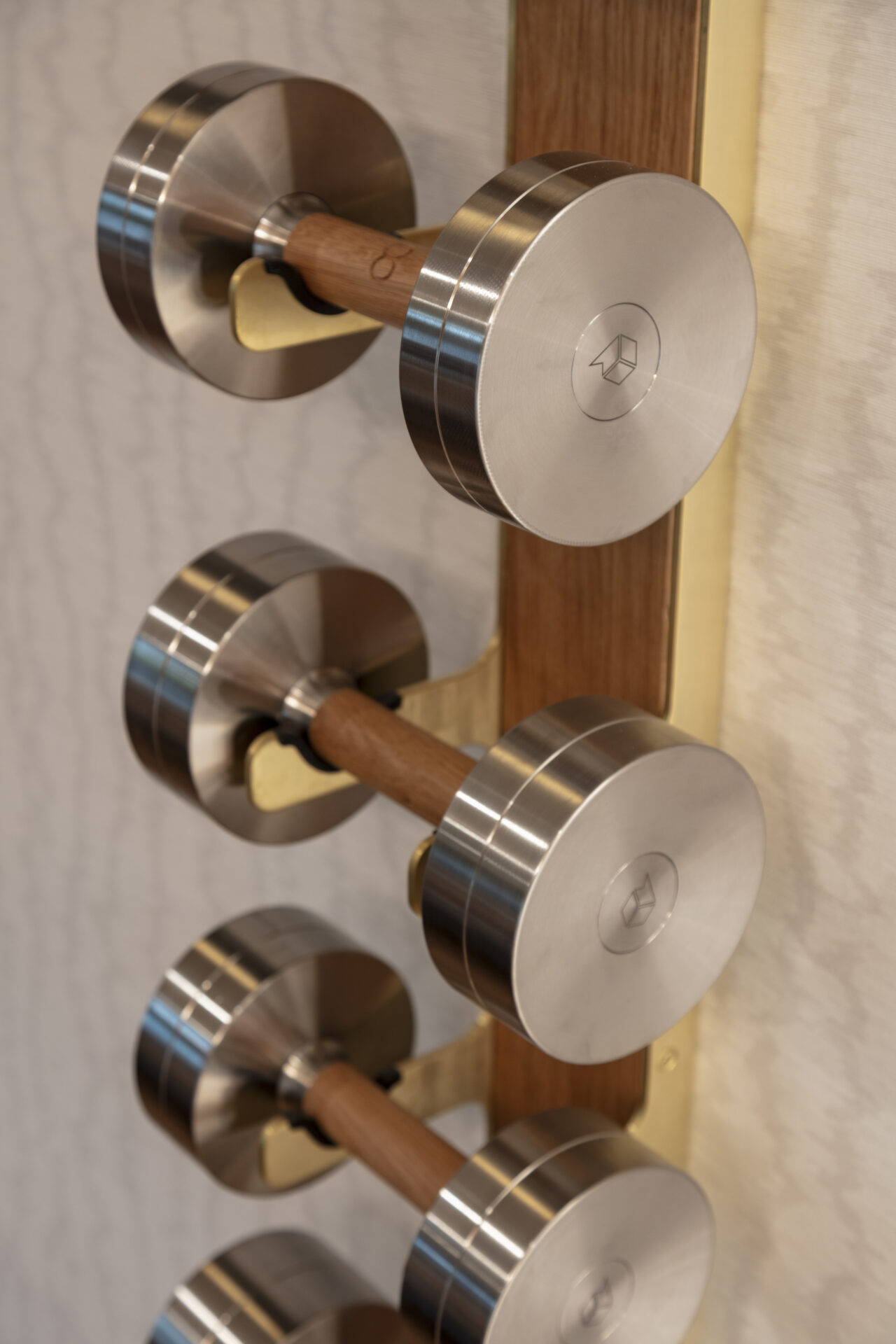 luxury residential gym