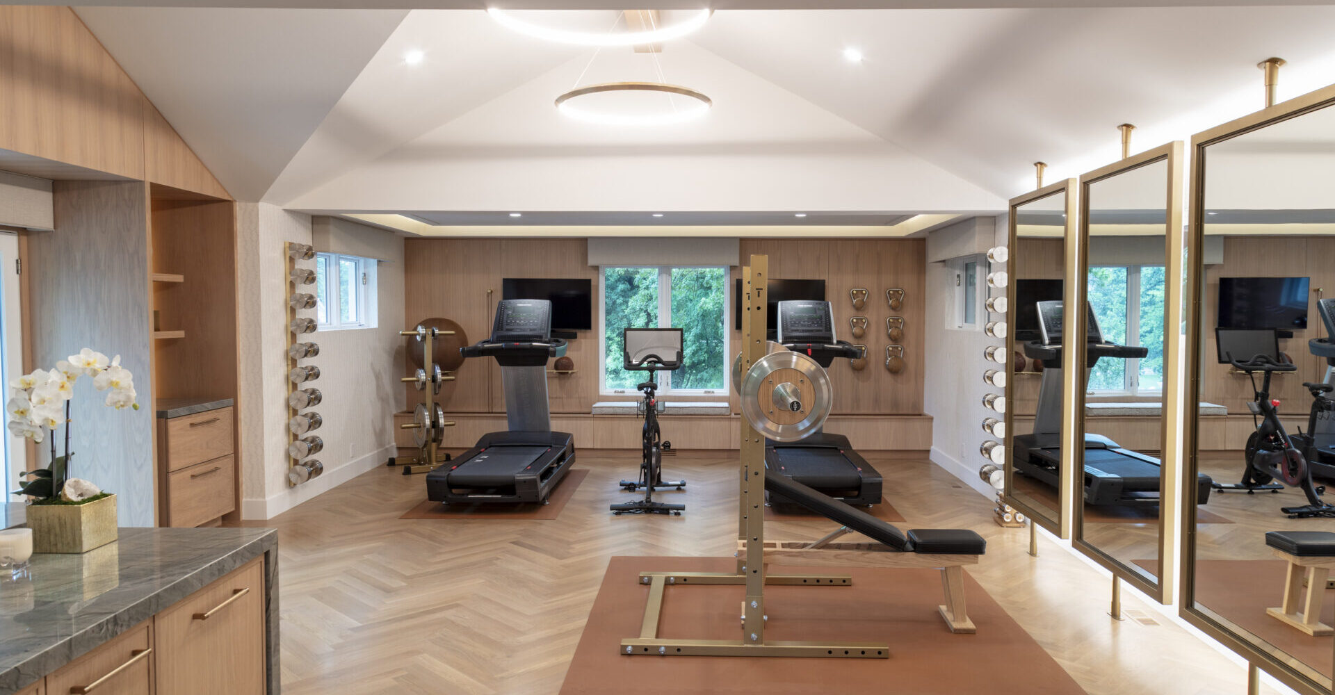 luxury residential gym