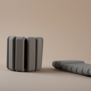 Paragon Studio Ankle Weights