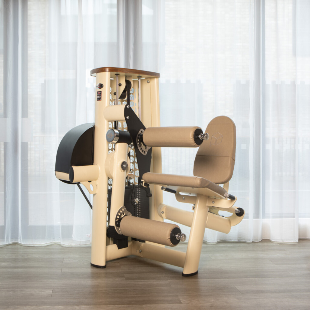 Gym80 X Paragon Studio Select