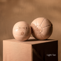 Classic Leather Medicine Balls