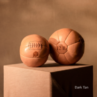 Classic Leather Medicine Balls