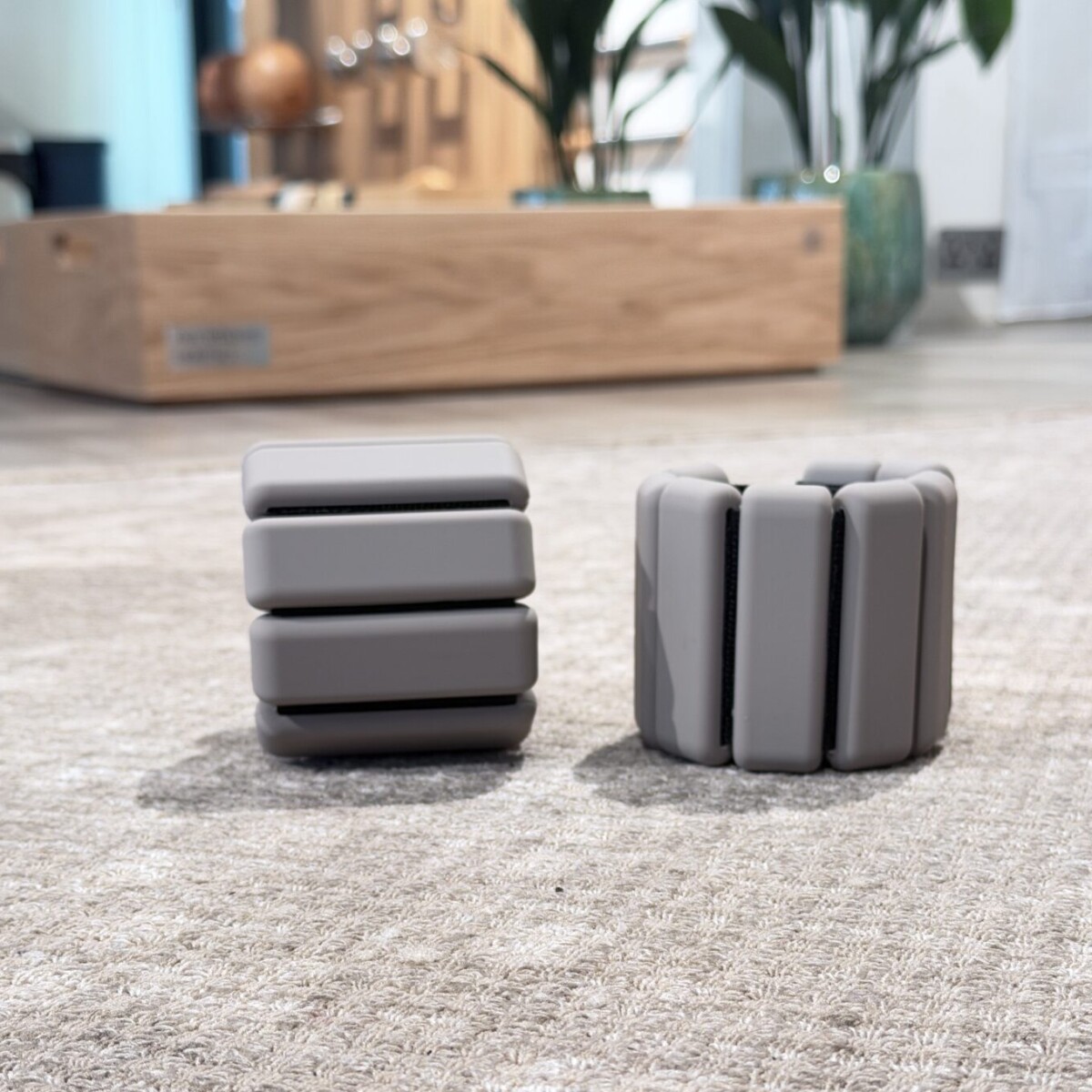 Pilates Sculpt Ankle Weights