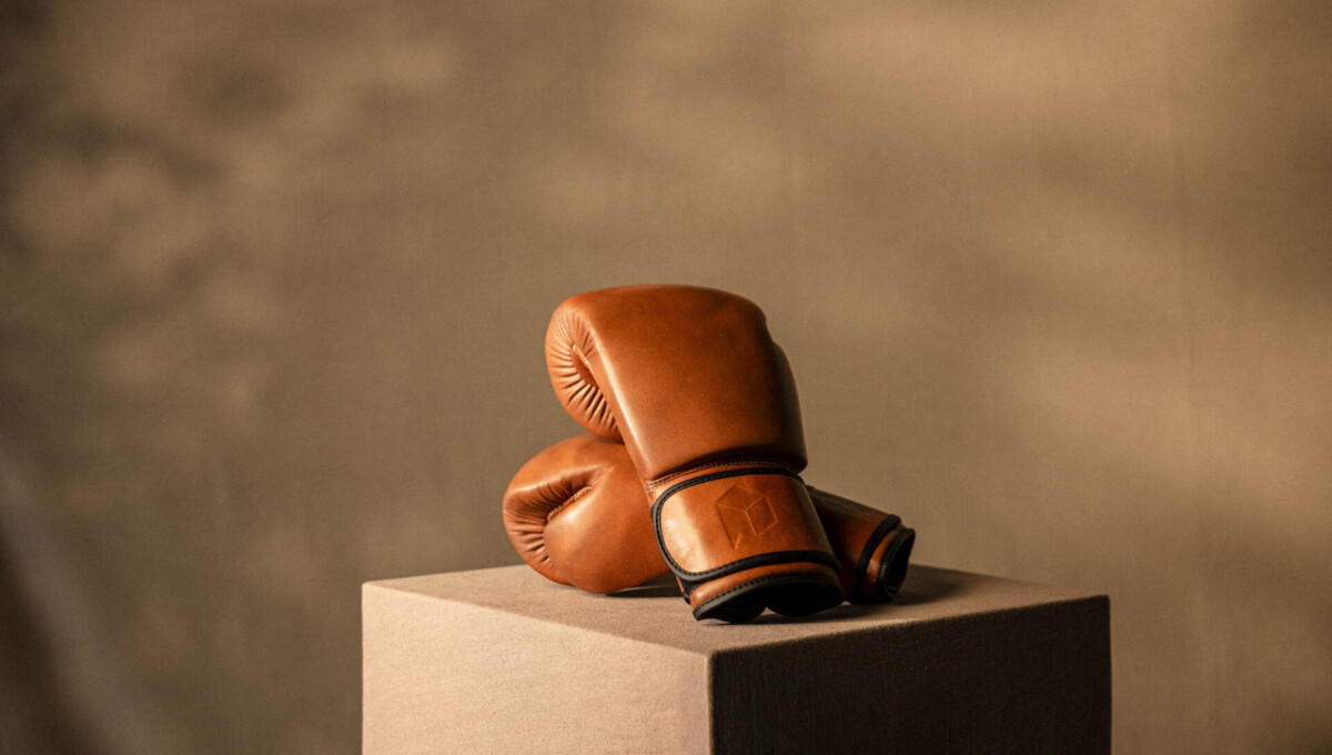 Luxury Retro Boxing Gloves