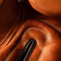 Luxury Retro Boxing Gloves
