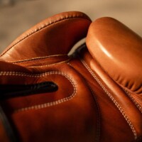 Luxury Retro Boxing Gloves