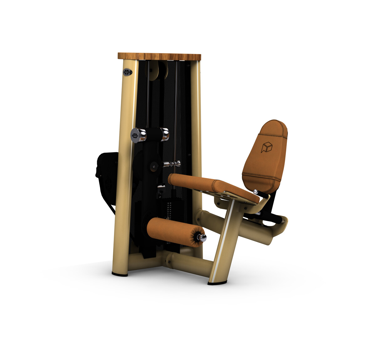 Gym80 X Paragon Studio Select